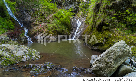 Valea lui Stan canyon and river in Romania Valea lui Stan canyon and river in Romania 31843783