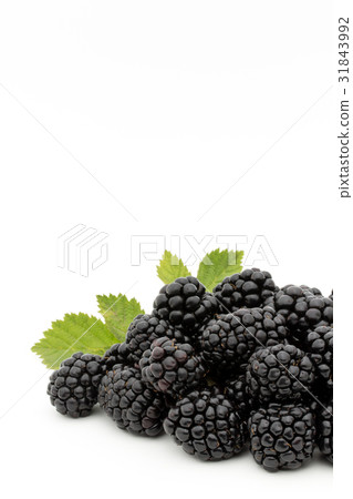 Blackberry: Blackberry 31843992