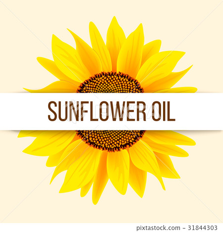 Sunflower and text Sunflower and text 31844303