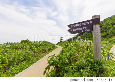 [Aichi Prefecture] Iragoaki Koi Road agama beach blue sky 31845213