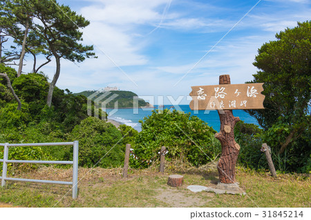 [Aichi Prefecture] Iragoaki Koi Road agama beach blue sky 31845214