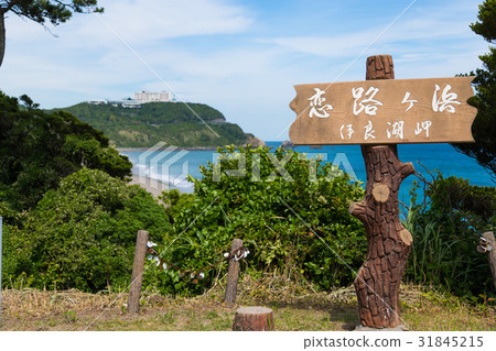 [Aichi Prefecture] Iragoaki Koi Road agama beach blue sky 31845215