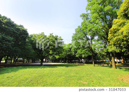 Ashioka公園新綠色 Ashioka公園新綠色 31847033