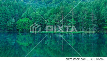 Nagano _ Large panorama Shoka pond 31848282
