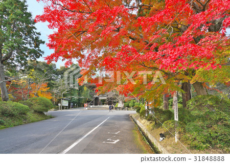 Kinui的三井寺 31848888