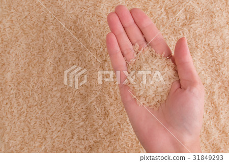 Long grain rice 31849293