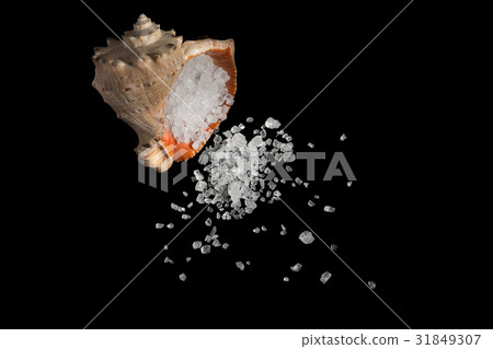 Shell and sea salt 31849307