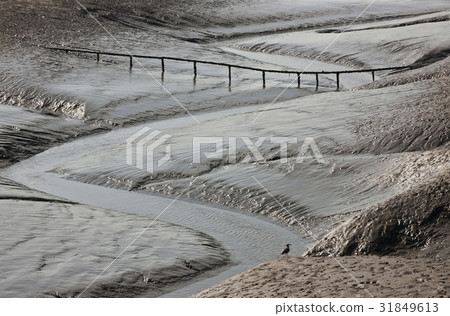 仁川永宗島潮灘 31849613
