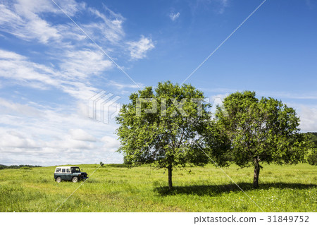 Inner Mongolia, China Inner Mongolia, China 31849752