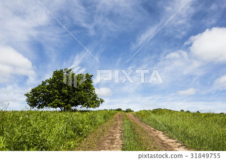 Inner Mongolia, China 31849755