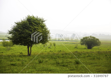 Inner Mongolia, China 31849787