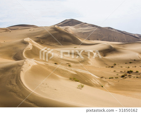 Bar Jinsun Desert, Inner Mongolia, China Bar Jinsun Desert, Inner Mongolia, China 31850162