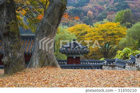 Namhansansung宮殿（歷史遺址480），南漢山城（歷史遺址57），京畿道光州市 31850210