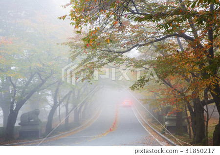 Haitai, Hoam Art Museum, Yongin City, Gyeonggi-do 31850217