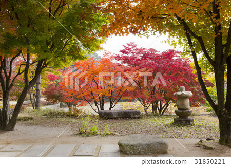 Buode, Hoam Art Museum, Yongin City, Gyeonggi-do Buode, Hoam Art Museum, Yongin City, Gyeonggi-do 31850221
