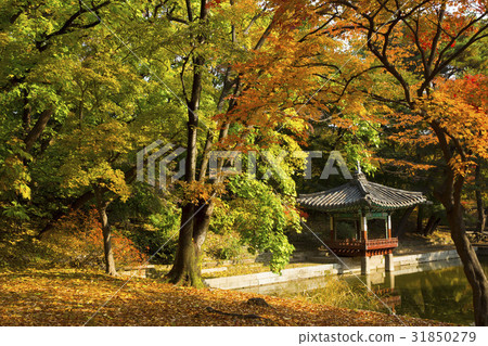 Awak, Jangji, Changdeokgung Palace (Historic Site 122), Jongno-gu, Seoul 31850279