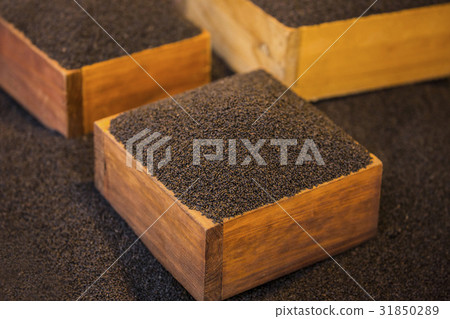 Seeds, basil 31850289