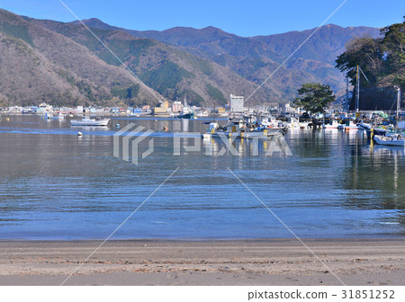 Toda Harbor - 189681 31851252