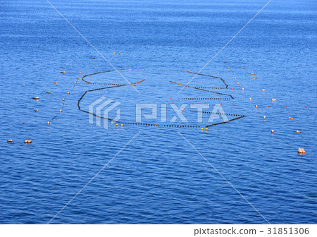 固定網-189710 固定網-189710 31851306