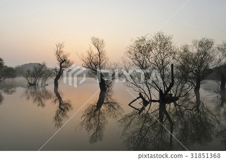 Dongpan Reservoir, Changwon, Gyeongnam Dongpan Reservoir, Changwon, Gyeongnam 31851368