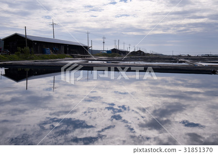 Taepyong Yinjeon, Jindo, Shinan County, Jeonnam Taepyong Yinjeon, Jindo, Shinan County, Jeonnam 31851370