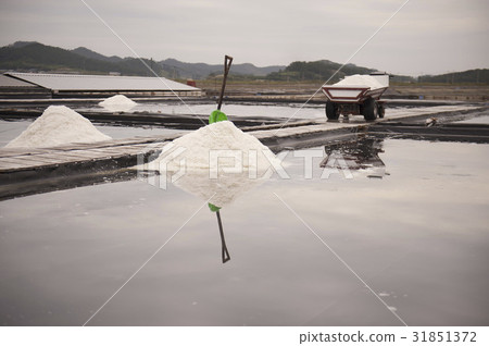 Taepyong Yinjeon, Jindo, Shinan County, Jeonnam Taepyong Yinjeon, Jindo, Shinan County, Jeonnam 31851372