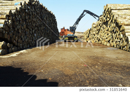 Forklift, wood 31851640