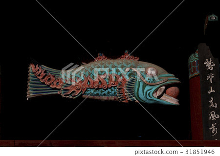 Shepherd, Tongdosa, Yangsan, Gyeongnam 31851946