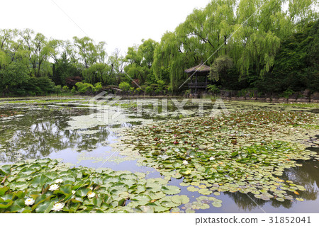 掛牆，掛牆文化植物園，坡州市，京畿道 31852041
