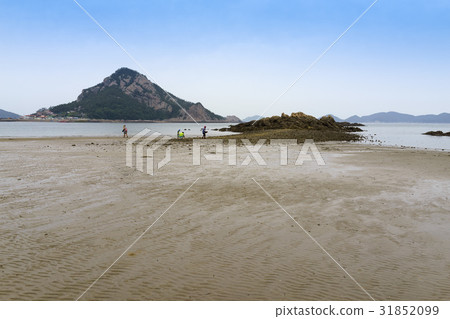 Seonyudo Beach, Daejangdo, Seonyudo, Gogunsan-gun, Gunsan, Jeonbuk 31852099