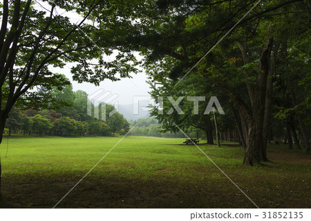 江原道春川市南怡島 江原道春川市南怡島 31852135