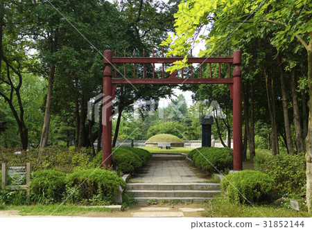 Namyoung, Nami Island, Chuncheon, Gangwon-do 31852144