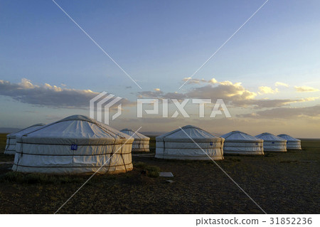 Gher，Gobi Desert，蒙古 31852236