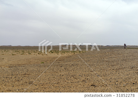 蒙古戈壁沙漠 31852278