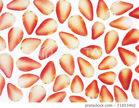 fruit, fore edge, cross section 31853402