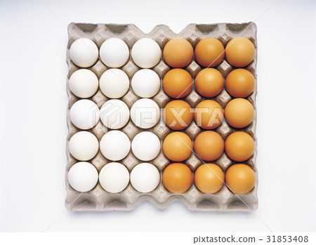 egg 31853408