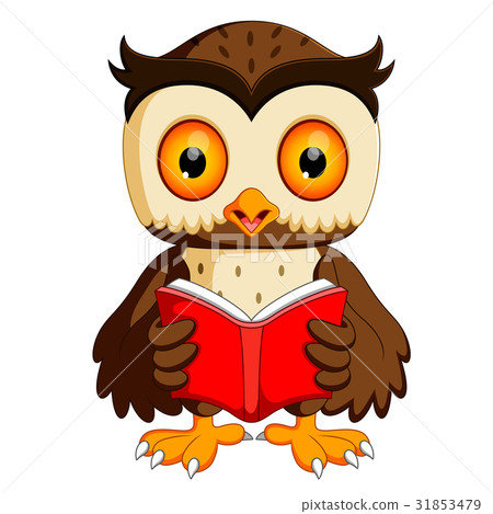 owl reading book owl reading book 31853479