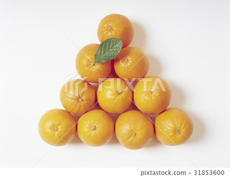 Orange 31853600