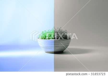 蔭 光 廠 31853723