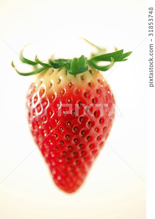 草莓 31853748