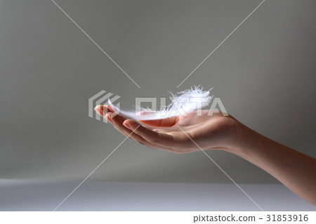 Hand, feather Hand, feather 31853916
