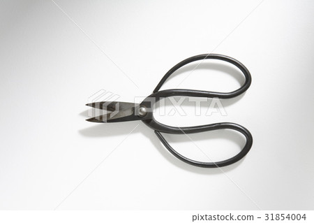Scissors 31854004