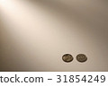 硬幣 31854249