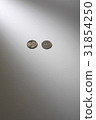 硬幣 31854250