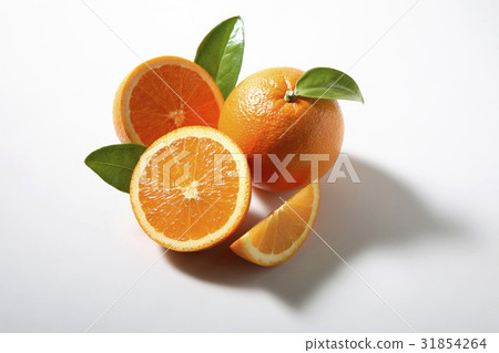 橙 橙 31854264
