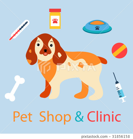 Banner with cute dog with pet medicine and stuff Banner with cute dog with pet medicine and stuff 31856158