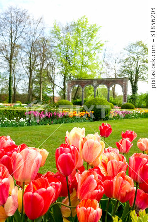 Grote · Beijaarden Castle - Floralia Brussels Grote · Beijaarden Castle - Floralia Brussels 31856203