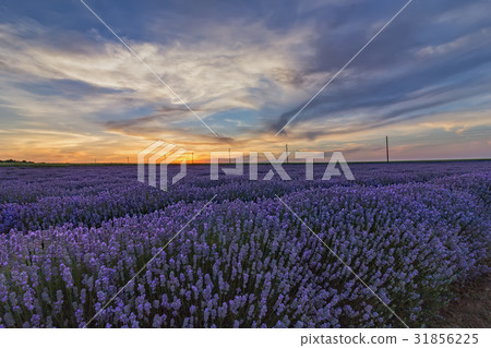 dramatic sky 31856225