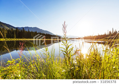 Lake in Alaska Lake in Alaska 31856378