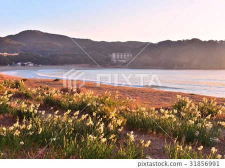 Yumigahama -189659 31856991